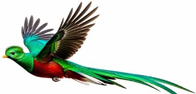 Quetzal, ave nacional de Guatemala