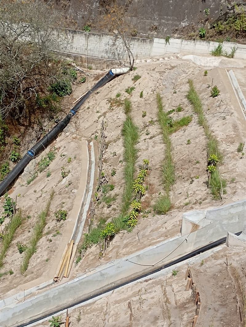 Estabilización de talud vial