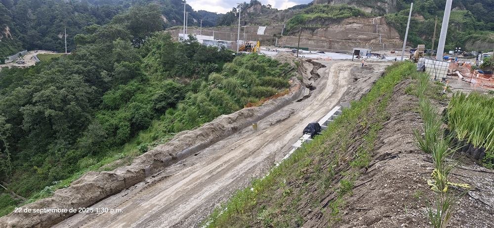 Talud de carretera estabilizado con vetiver