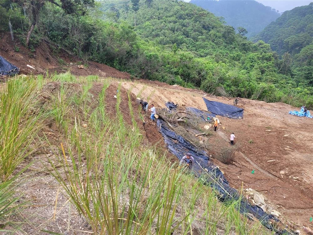 Rehabilitación de área minera con vetiver